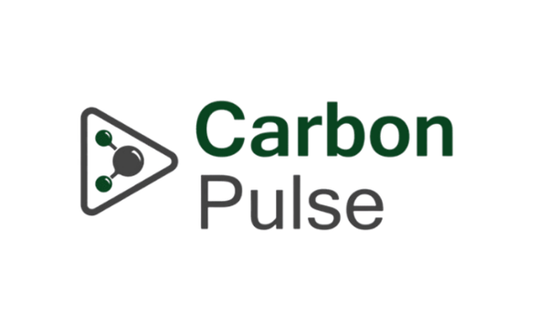 Carbon Pulse